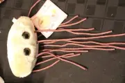 New VIntage E.Coli Plush Doll Giant Microbes