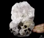 Lifesized 7.5" Quartz Rock Crystal Druse Carved Crystal Double Skulls