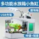 現貨 療癒 多功能水族箱 魚缸 USB插電 行動電源 置物 時鐘 鬧鐘 溫度 萬年曆 附水草 石頭 檯燈 送禮 交換禮物