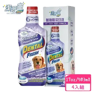 潔牙白Dental Fresh-加強版潔牙液 503ml(4入組) (下標數量2+送全家禮卷50元)