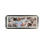 Nicho Hynes Cronulla Sharks Panoramic Framed Memorabilia