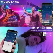Led Strip Lights 30.48meter Smart With App Remote Control, 5050 RGB For Bedroom