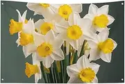 Daffodils Photos Flag 24x35 in No Fade Welcome Flag Garden Yard House Flags Decorative Garden Yard Sign Indoor Outdoor Banner Party Home Decor