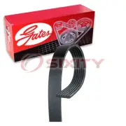 Gates Micro-V Serpentine Belt for 2016-2017 Lexus GS200t 2.0L L4 Accessory qd (for: Lexus)