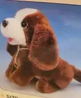 Spaniel Dog Bark, Wags Tail And Sits And Begs Janina Brand