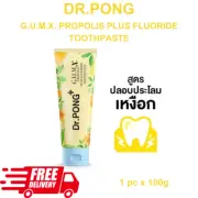 Dr.PONG G.U.M.X. PROPOLIS PLUS FLUORIDE TOOTHPASTE Gum Inflammation Prevent 100g
