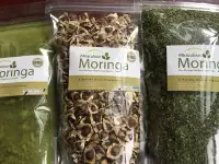 在飛比找Yahoo!奇摩拍賣優惠-《最划算之大包奇蹟牌辣木籽》Moringa Seeds奇蹟之