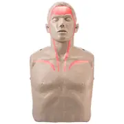 BRAYDEN Pulse CPR Manikin (With Lights)