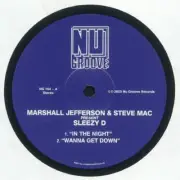 Marshall Jefferson & Steve Mac Present Sleezy D / Juliet Mendoza - In The Night