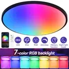 28W Led Ceiling Lamp & Smart APP Remote Control Ultrathin Dimmable Light Fixture
