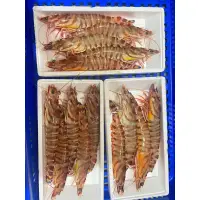 在飛比找蝦皮購物優惠-澎湖野生 活明蝦🦐-鱻吃海鮮