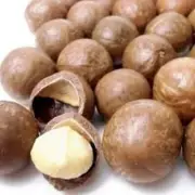 Macadamia Nuts - 100% Australian Fresh Nut in Shell 1kg. Free Postage bulk price