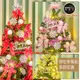 摩達客耶誕-6尺(180cm)特仕幸福型裝飾綠色聖誕樹超值組+含全套飾品(多款可選)+(含燈飾) (5.1折)