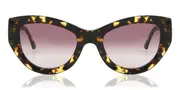 Sunday Somewhere HARPER C2 Men's Sunglasses Tortoiseshell Size 53