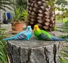 2x Budgie Parrot Bird Figurine Parakeet Birds Statue Garden Ornament Decor
