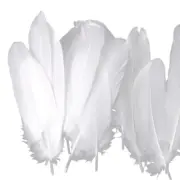 100pcs Bright Craft Feather For School Projects And Carnivals Party Decors