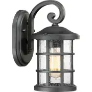 Quoizel Crusade 1 Light 100W Outdoor Wall Lantern, Sm, Earth Black - CSE8406EK