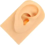 DEARMAMY Silicone Human Ear Model for Piercing Practice and Teaching Realistic Training Prop for and Ear Cleaning Lightweight and Portable for Display