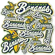 Desert Cactus Savannah Bananas Sticker Decal Vinyl Baseball Laptop Water Bottle Car Scrapbook (Type 1-2)