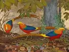 Golden Pheasants colorful bird farmland wild ceramic tile mural backsplash