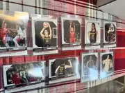 2024 Panini WNBA Caitlin Clark RC ROOKIE CARD LOT - FEVER - (9 CC Rookies!)