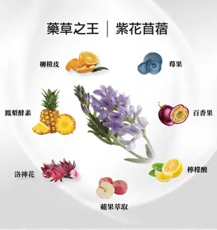 【iVENOR】十時塑花草茶_綜合口味(原味+孅果_10包/盒)+送石墨烯面膜1盒(2片)隨機出貨 (0.3折)