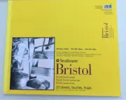 STRATHMORE BRISTOL Smooth 300 Series 20 Sheets Large 14 x 17 ART PAD