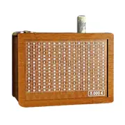 Wooden Moneys Box with Counter Large Capacity Money Saver for Boys Girls Kids Adult 5000 M