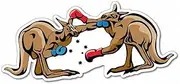 Kangaroo Boxing Sticker