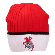 St George Dragons NRL Boundary Rib Beanie
