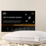 90/10 Goose Down Pillow [GREB9010P22]