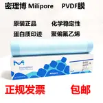 MILLIPORE密理博PVDF膜轉印膜0.45UM/0.22UM MERCK默克 蛋白耗材