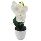 Decorative Orchid Garden Artificial Orchid ABS Material Orange-red Rose