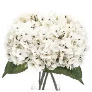 6pcs Fake White Flowers Artificial Silk Hydrangea Flowers Bouquets Ivory White