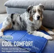 Large Dog Cooling Mat Pressure Activated Non-Toxic Pet Self Cooling Gel Pad Bed
