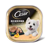 在飛比找蝦皮商城優惠-西莎 Cesar 精緻餐盒 100g *即期品* 南瓜菠菜烤