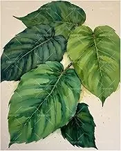 TAOPAOLAB Green Plant Paint by Numbers Kit for Adults - DIY Tropical Green Leaves Painting on Canvas 16x20 Inches, Acrylic Paint Set, Suitable for Beginners, Nature Art for Home Decoration or Gifts