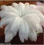 100pcs Top quality 10-12inch/25-30cm white ostrich feathers Decor wedding Party