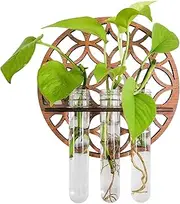 Wall Plant Propagation Station With 3 Test Tube - Transparent Terrarium, Wall Mounted for Home Decoration