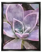 Purple Succulent Close Up Framed Floater Canvas Wall Art by Daphne Polselli