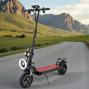 Adult E-Bike Electric Scooter 2500W 70KM/H 80KM Range Foldable Off Road E-Bike