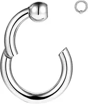 [BodyAce] Big Gauges Nose Rings Hinged Segment Clicker, 6G 8G 10G 12G PA Rings CBR Large Earrings Hoops, Surgical Steel Ear Weights Septum Piercing Jewellery