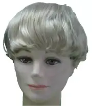 Barbie Blonde Ken Wig Surfers Wig Mens Costume Wig