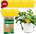 Fungus Gnat Killer 30 Traps Highly Effective and Ecological Yellow Sticky Traps