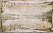 BLACK LINE Spalted Maple Wood 1083 Luthier 5A Guitar Top Set 23.5x 14.5 x .437
