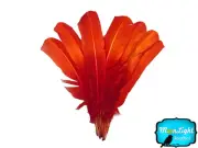 1/4 lb - FIERY RED Ombre Turkey Rounds Tom Wing Quill Wholesale Feathers (bulk)