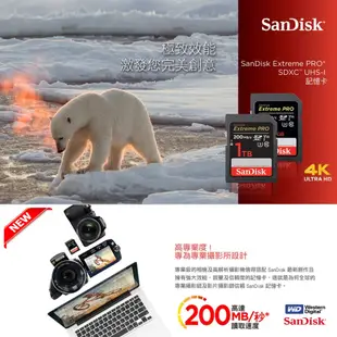 SanDisk晟碟 公司貨(全新升級版) Extreme Pro SD 64G 128G 256GB 記憶卡(永久保固)