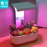 雙十一領劵 植物燈 植力【桌面植物燈】多肉補光LED全光譜上色USB家用室內育苗種植機 城市玩家