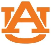 University of Auburn logo stencil - Reusable Pattern - 10 Mil Mylar