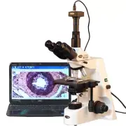 AmScope 40X-2500X Infinity Plan Research Compound Microscope + 8MP Camera